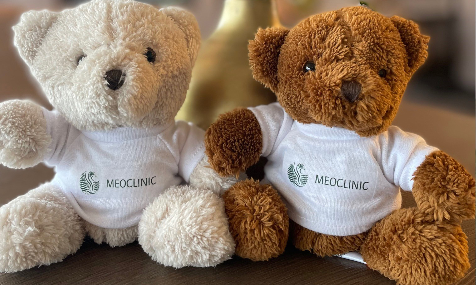 Meoclinic cooperation with Björn Schulz Foundation